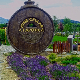 Wine Cellar - Старосел