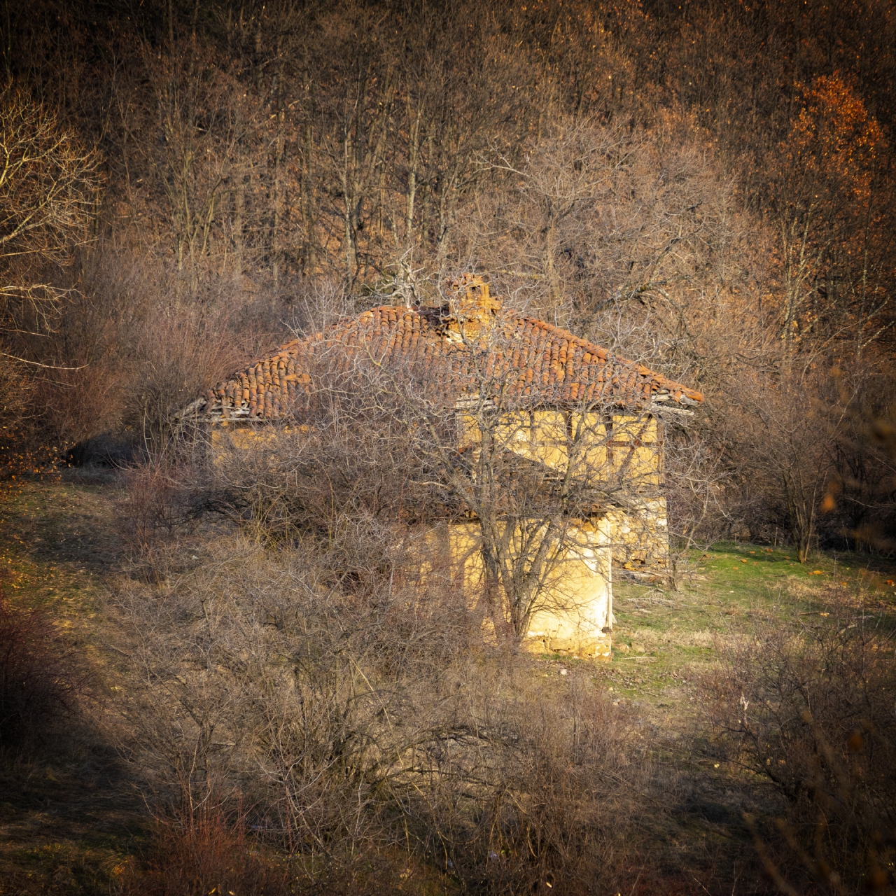 Къща в гората