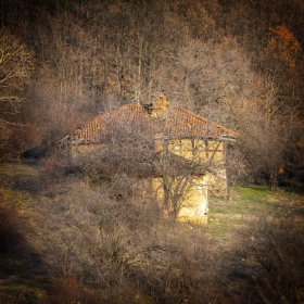 Къща в гората