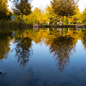 Красотата на Рупите