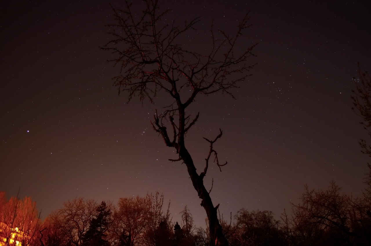 Поглед на югозапад на 31.03.2019г.21.30ч.