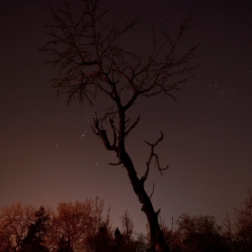 Поглед на югозапад на 31.03.2019г.21.30ч.