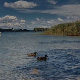 Chiemsee