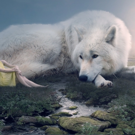 Elen  and the white wolf