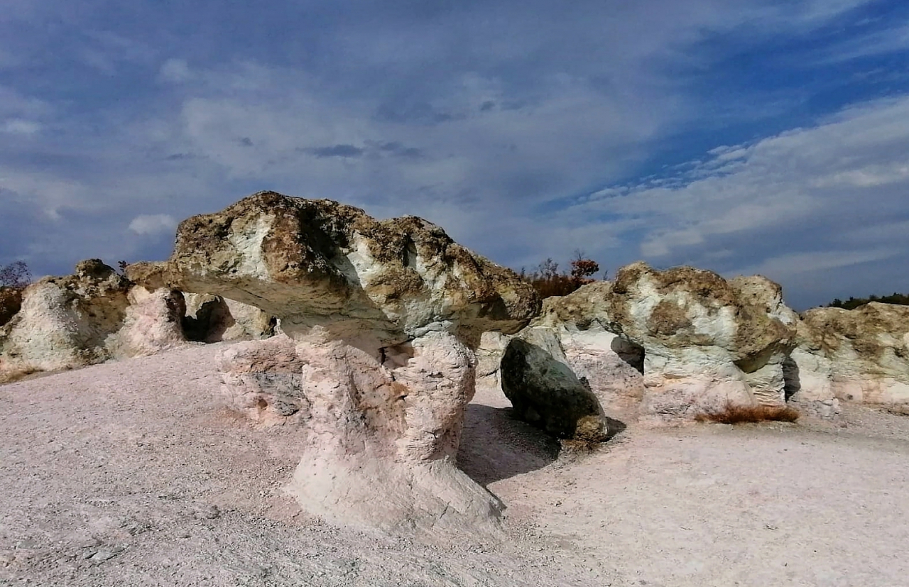 Каменните гъби, край с. Бели пласт