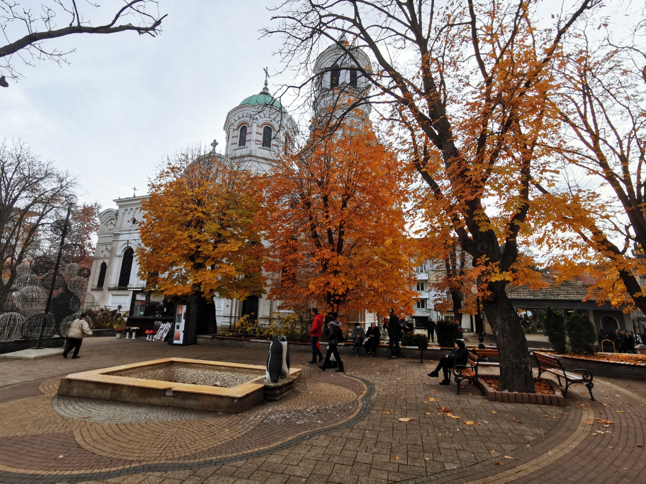 Коледна Стара Загора, пингвините.