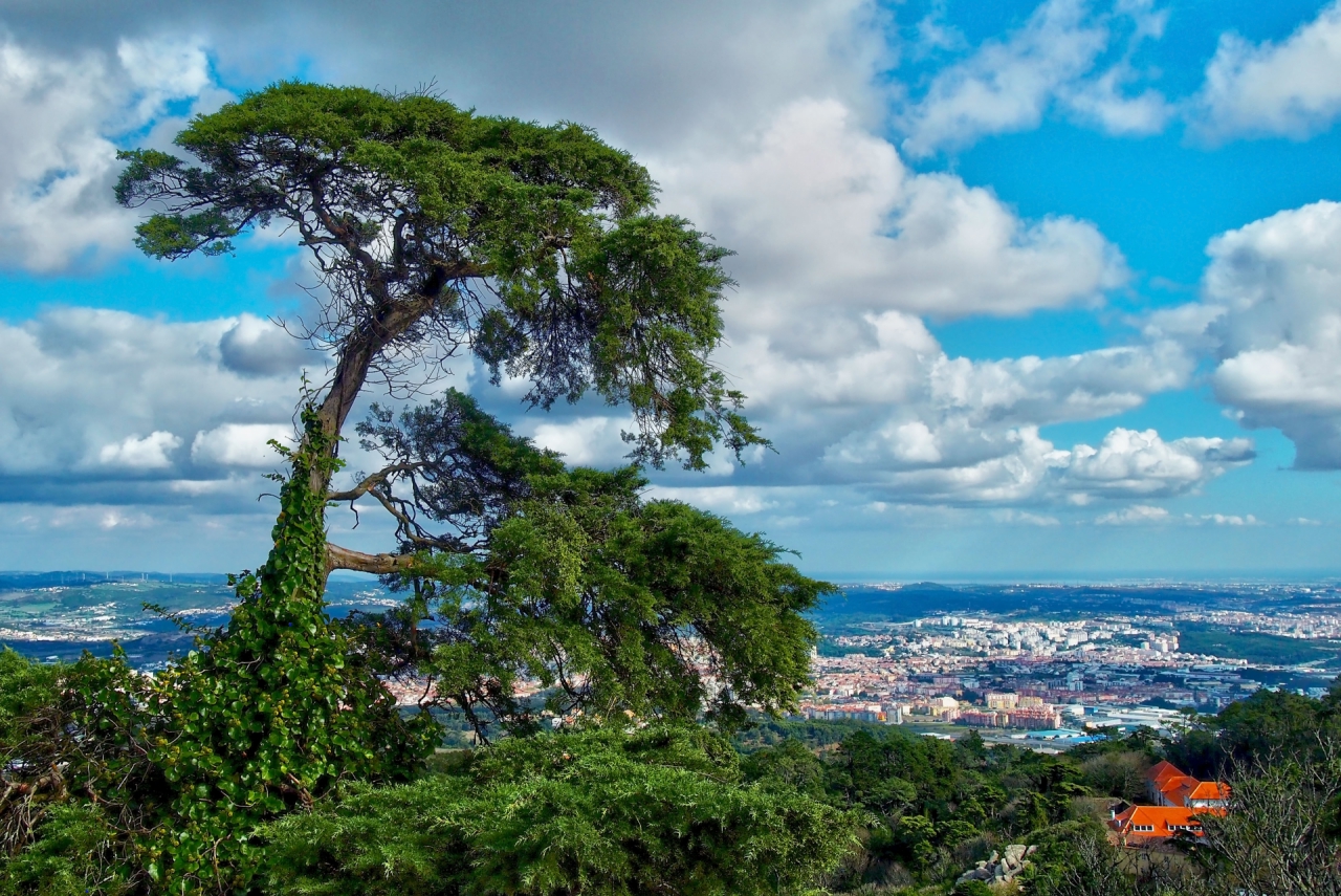 Uma vista do Palacio da Pena