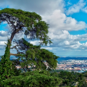 Uma vista do Palacio da Pena