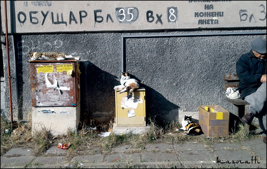 Битници