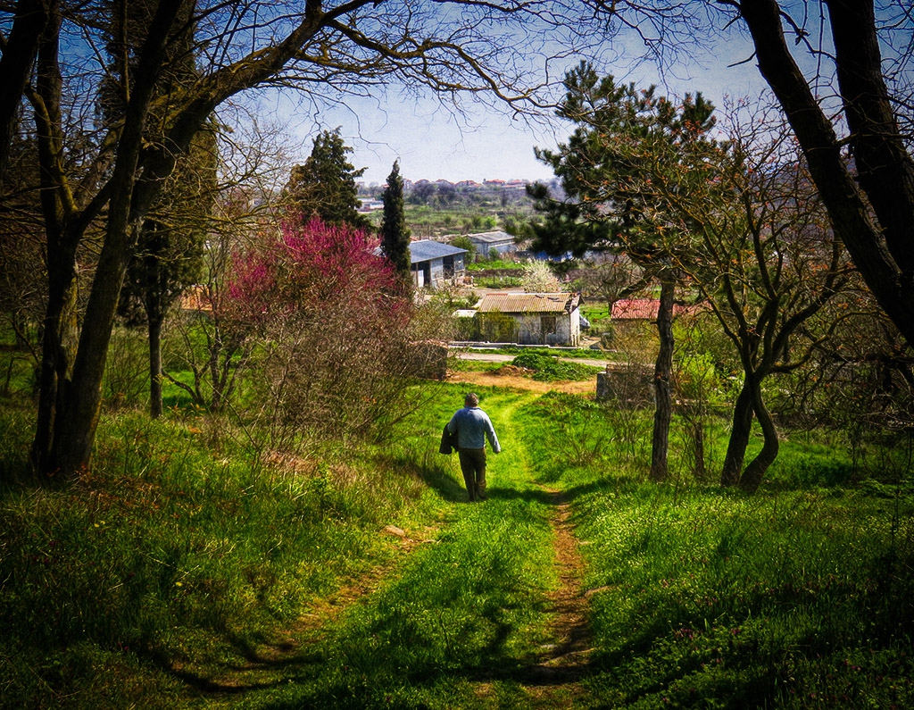 В края на гората