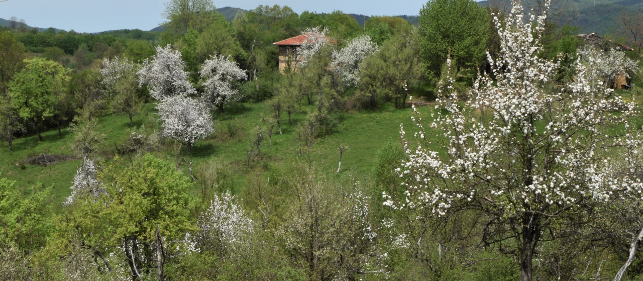 Пролет в планината